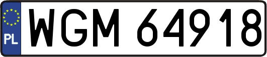 WGM64918