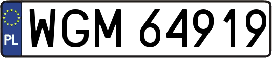 WGM64919