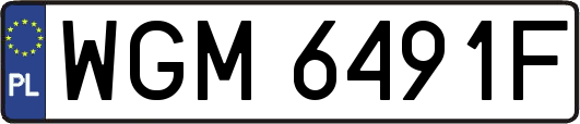 WGM6491F
