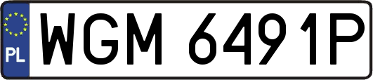 WGM6491P