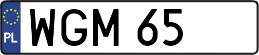 WGM65