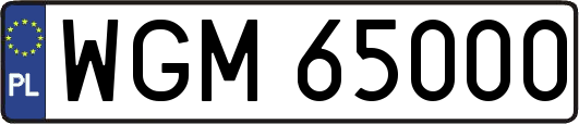 WGM65000
