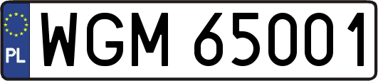 WGM65001