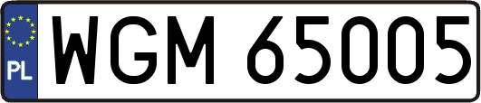 WGM65005