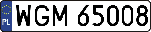 WGM65008