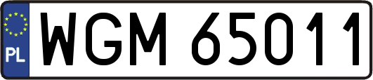 WGM65011