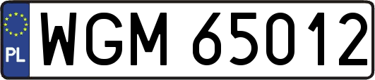 WGM65012
