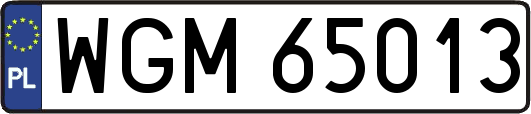 WGM65013
