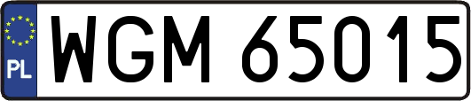 WGM65015