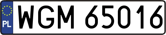 WGM65016