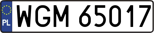 WGM65017