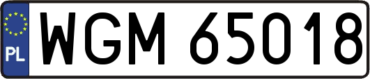 WGM65018