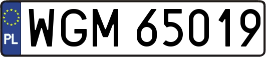 WGM65019