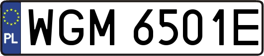 WGM6501E