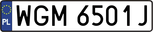 WGM6501J
