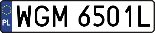 WGM6501L