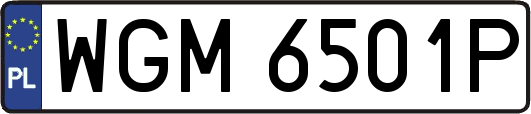 WGM6501P