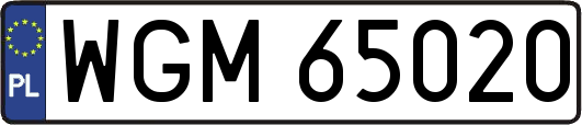 WGM65020