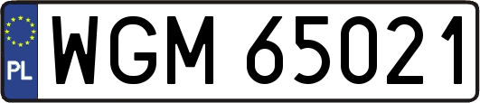 WGM65021
