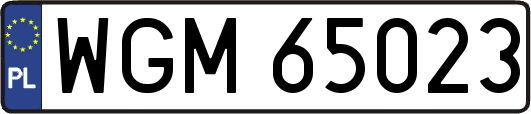WGM65023