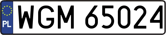 WGM65024