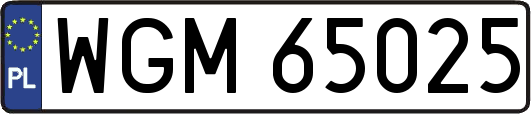 WGM65025