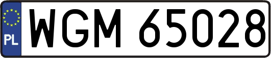 WGM65028