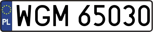 WGM65030