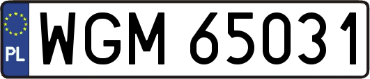 WGM65031