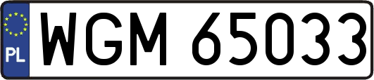 WGM65033