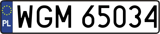 WGM65034