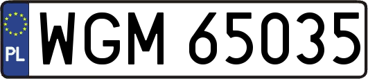 WGM65035