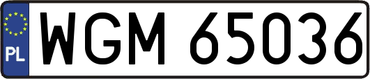 WGM65036
