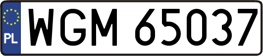 WGM65037