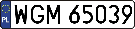 WGM65039