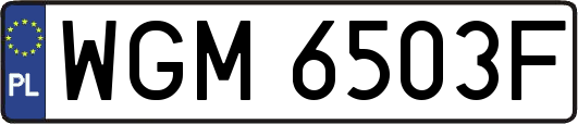 WGM6503F
