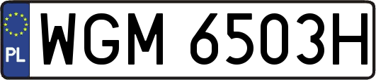 WGM6503H