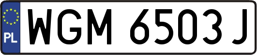 WGM6503J