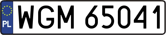 WGM65041