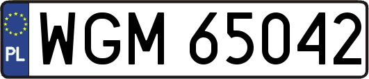 WGM65042