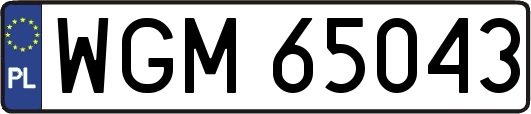 WGM65043