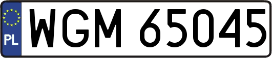 WGM65045