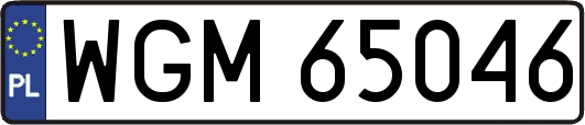 WGM65046