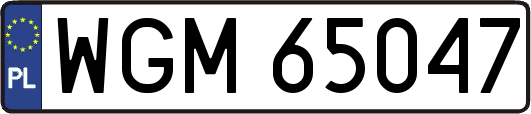 WGM65047