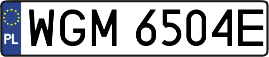 WGM6504E