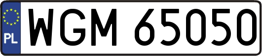 WGM65050