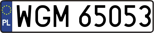 WGM65053
