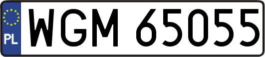 WGM65055