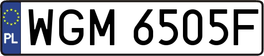WGM6505F
