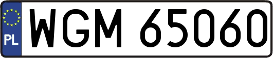 WGM65060